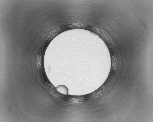 X0000114490563200911301108