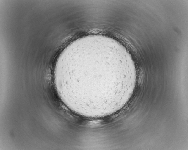 X0000114490569200911301108