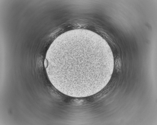 X0000114490570200911301108