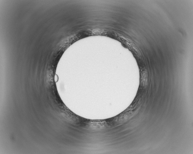 X0000114490571200911301108