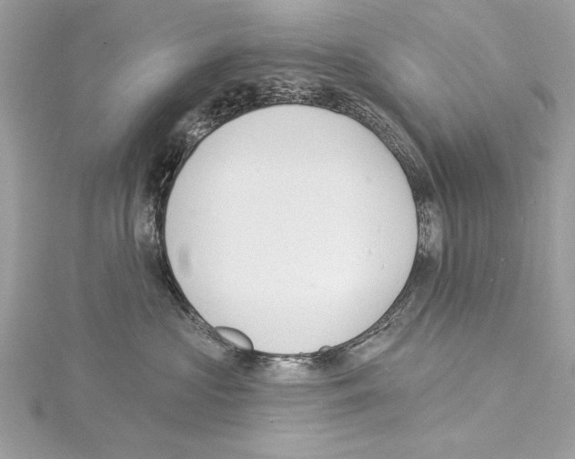 X0000114490573200911301108