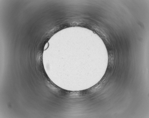 X0000114490574200911301108