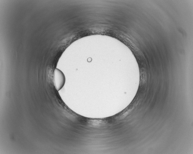 X0000114490575200911301108