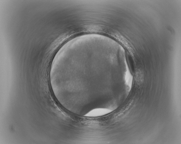 X0000114490577200911301108