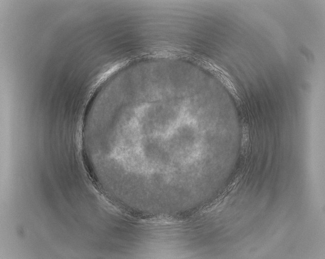 X0000114490578200911301108