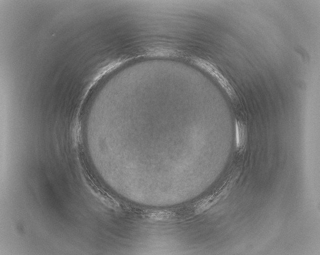 X0000114490579200911301108