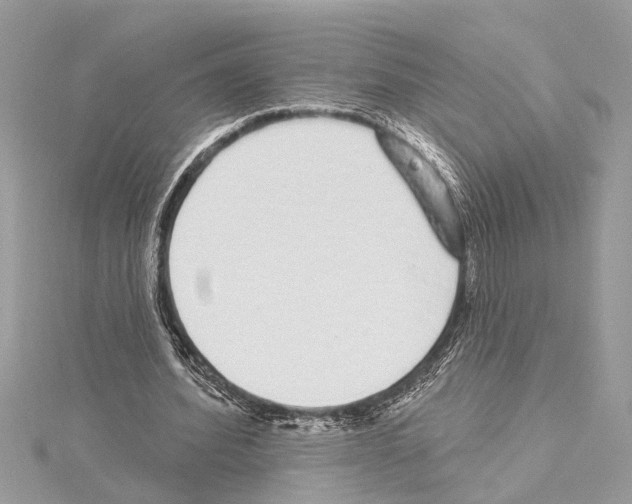 X0000114490580200911301108