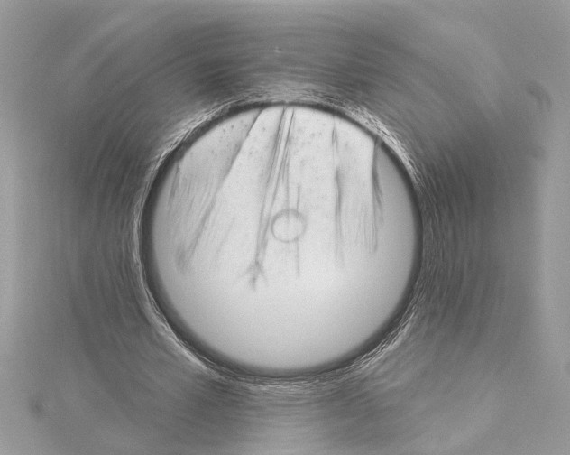 X0000114490581200911301107