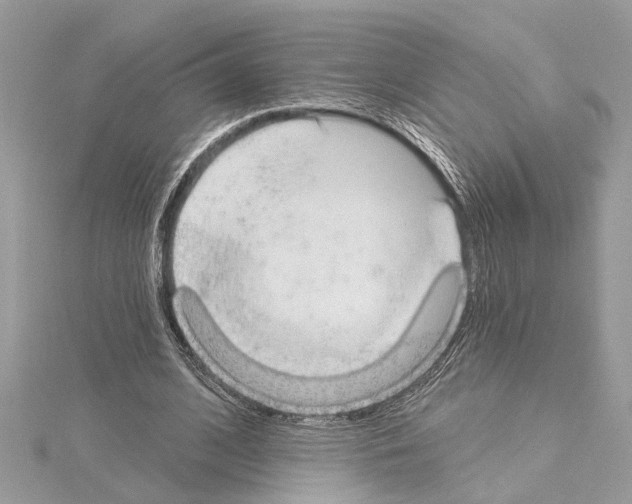 X0000114490584200911301107