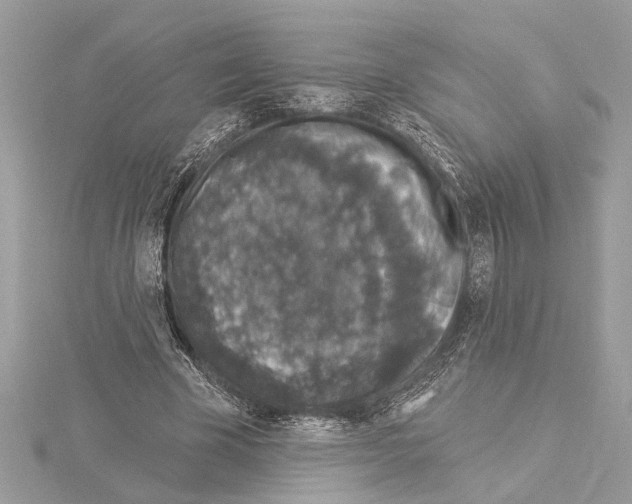 X0000114490585200911301107