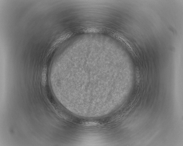 X0000114490586200911301107