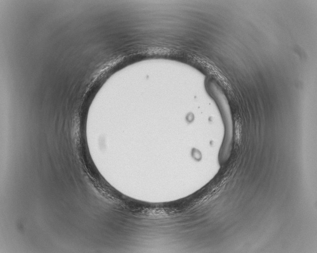 X0000114490588200911301107