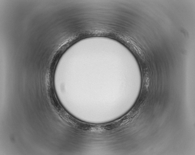 X0000114490591200911301107