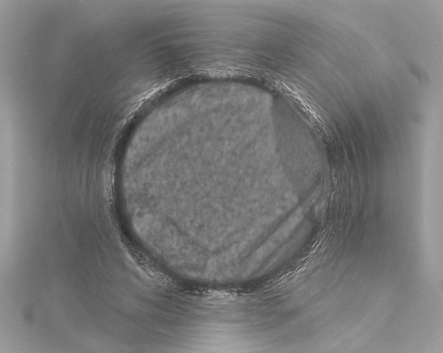 X0000114490592200911301107