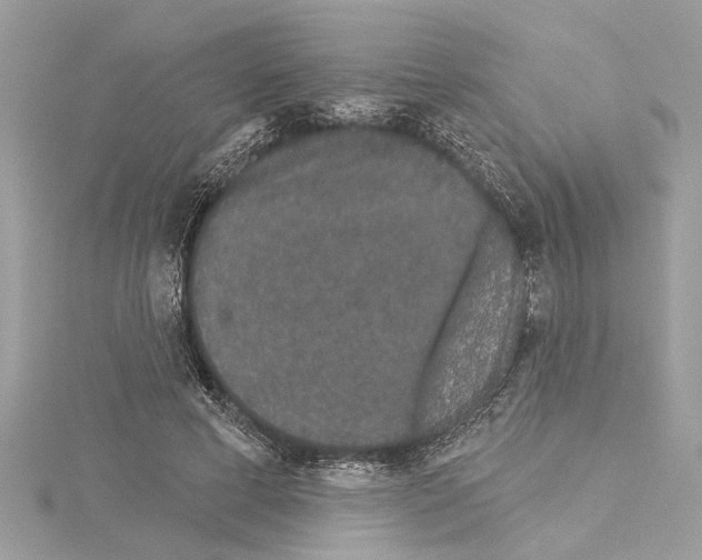 X0000114490593200911301107