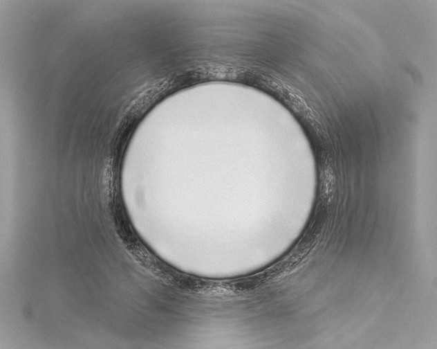 X0000114490594200911301107