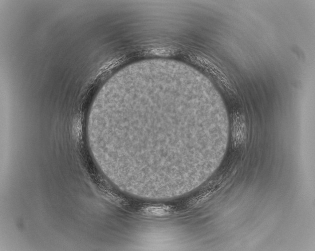 X0000114490595200911301107