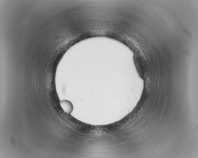 X0000114490596200911301107