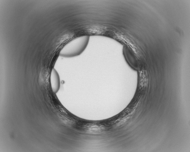 X0000114490597200911301107