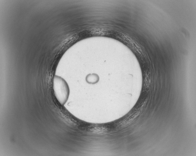 X0000114490601200911301107