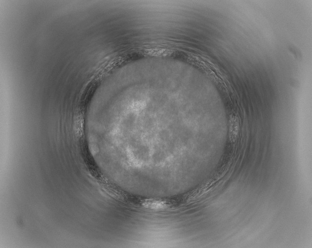 X0000114490602200911301107