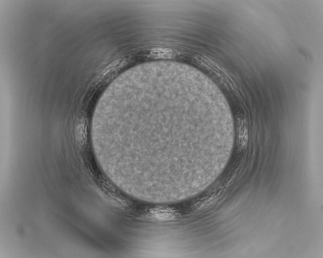 X0000114490603200911301107