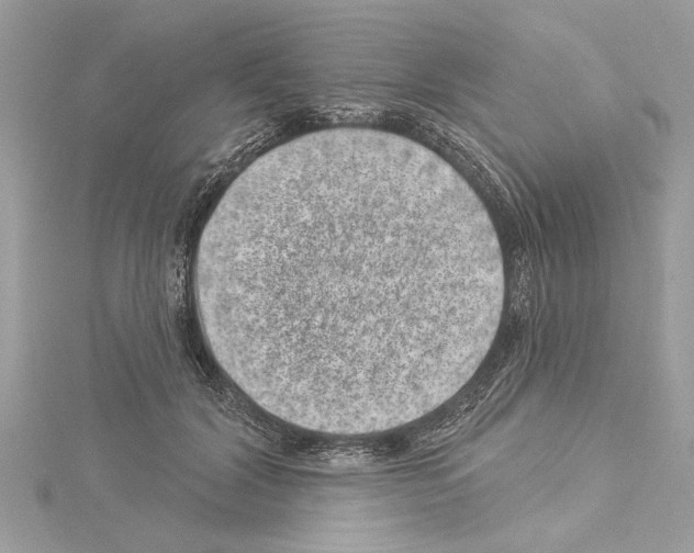 X0000114490604200911301107