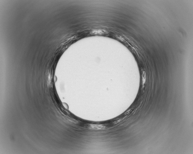 X0000114490605200911301107