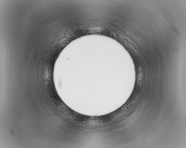 X0000114490608200911301107