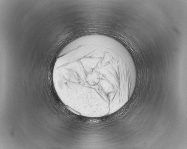 X0000114490609200911301107