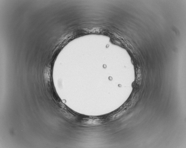 X0000114490612200911301107