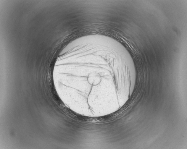 X0000114490613200911301107