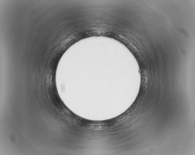 X0000114490615200911301107