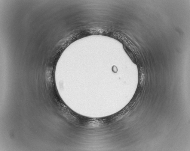 X0000114490616200911301107