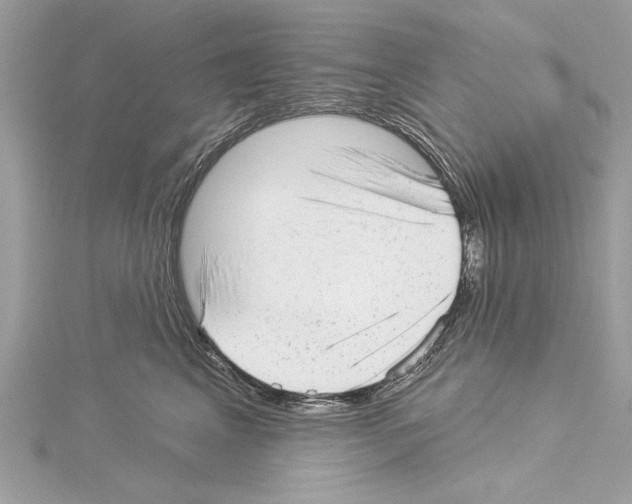 X0000114490617200911301107