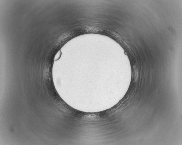 X0000114490619200911301107