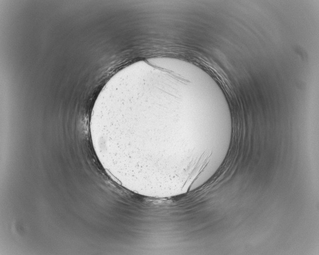 X0000114490621200911301107