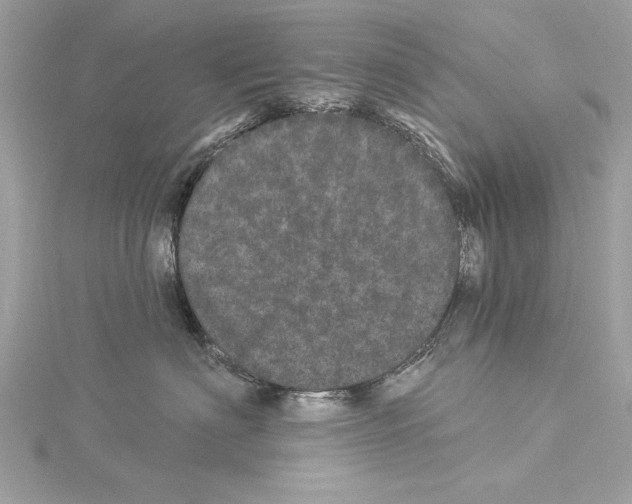 X0000114490622200911301107