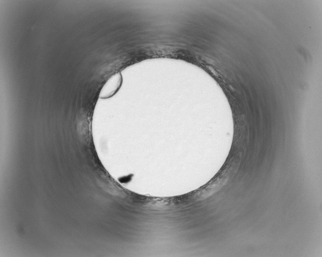 X0000114490624200911301107