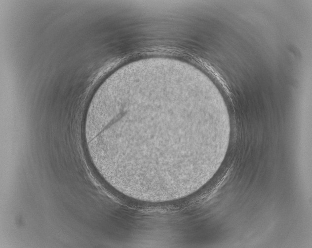 X0000114490625200911301106