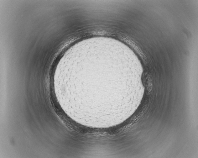 X0000114490626200911301106