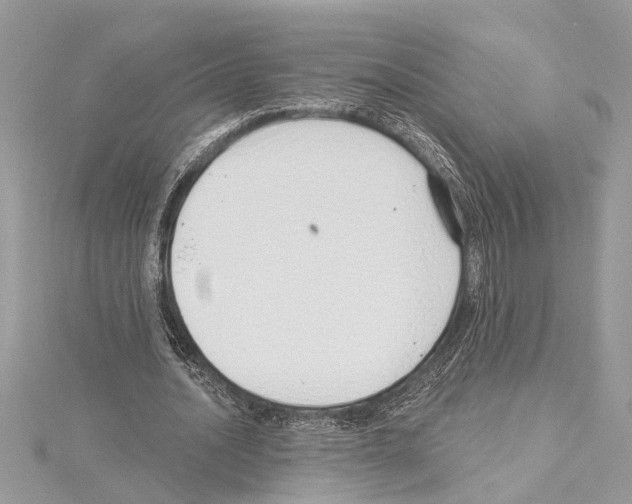 X0000114490628200911301106