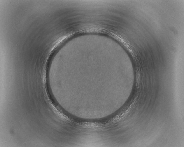 X0000114490629200911301106