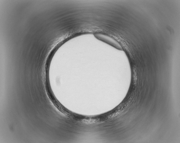 X0000114490630200911301106