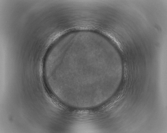 X0000114490631200911301106