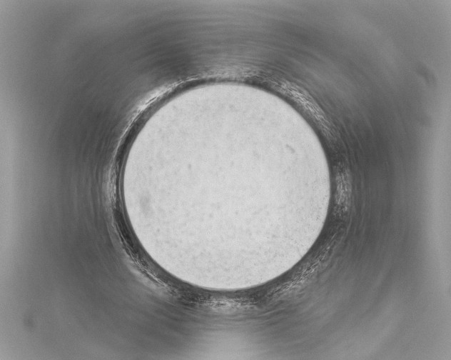 X0000114490632200911301106