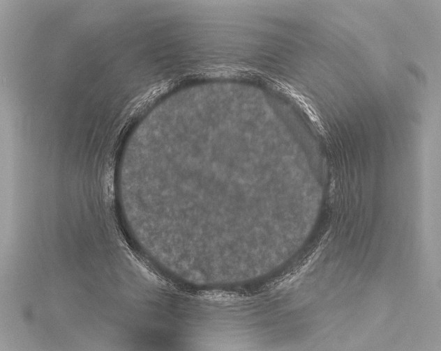 X0000114490633200911301106