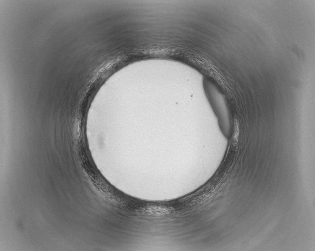 X0000114490636200911301106