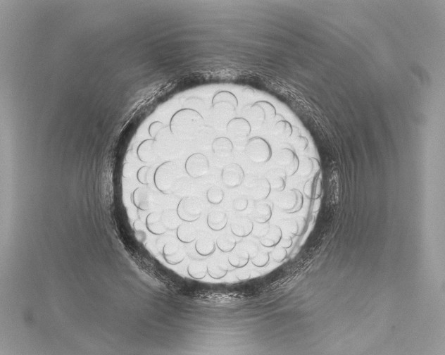 X0000114490638200911301106