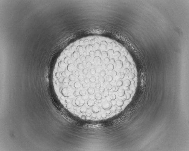 X0000114490639200911301107